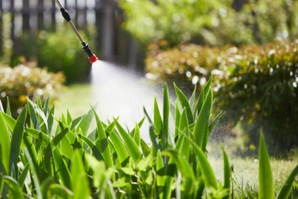 Tamper-Resistant Bait Stations for Rodents in Effort